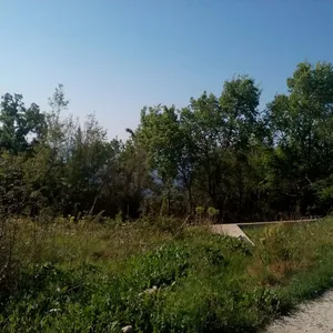 Земельный участок в Сутоморе, фото 5