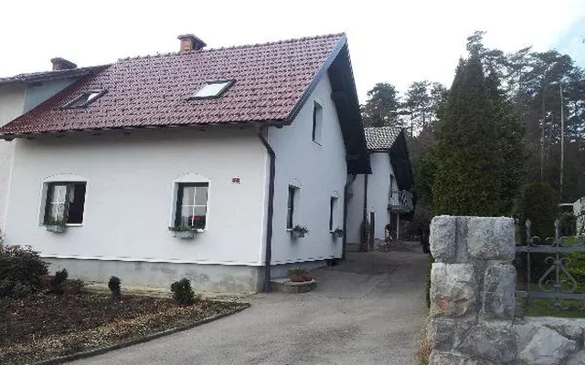Таунхаус в Домжале