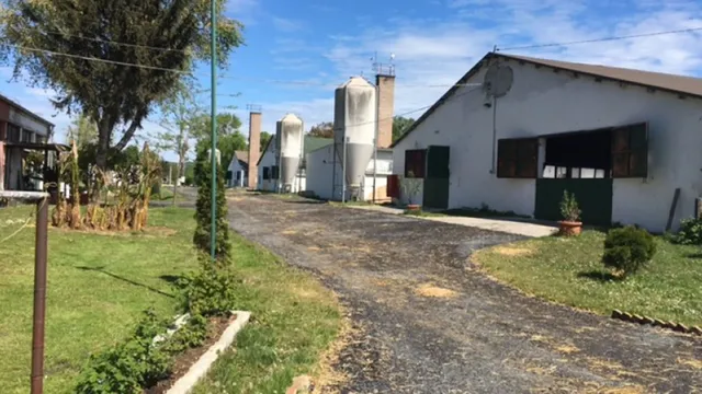 Ферма в Зала