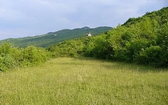 Ферма в Подгорица