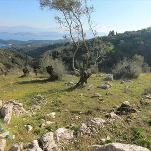 Земельный участок в Corfu, фото 2