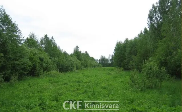 Земельный участок в Лавассааре