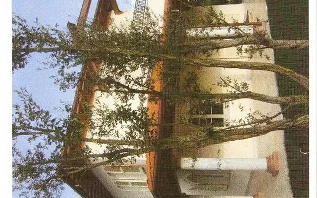 Вилла в Лукка