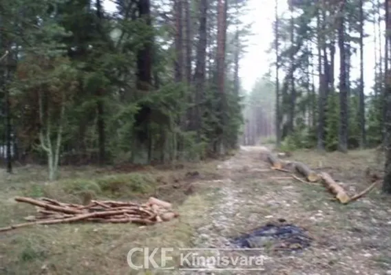 Земельный участок в Калана