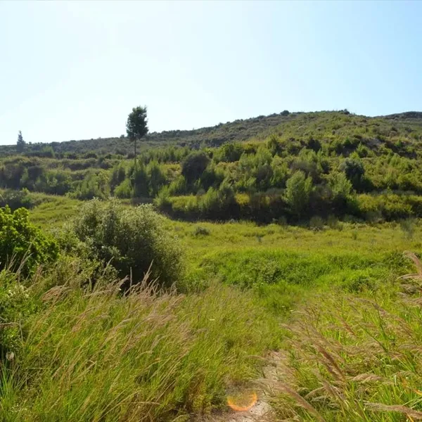 Земельный участок в Kassandra Municipality, фото 1