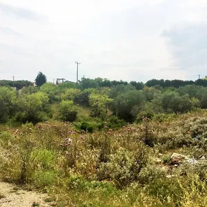 Земельный участок в Kassandra Municipality, фото 4