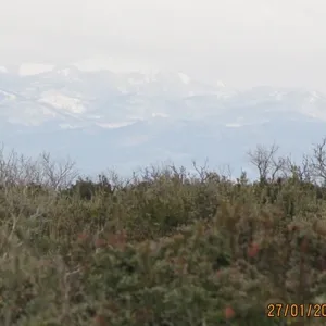 Земельный участок в Вир, фото 5
