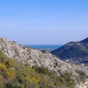 Вилла в Педрегер, фото 2