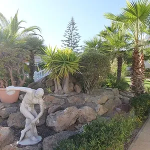 Таунхаус в Плайя Фламенка, фото 5