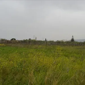 Земельный участок в Municipality of Velo and Vocha, фото 3