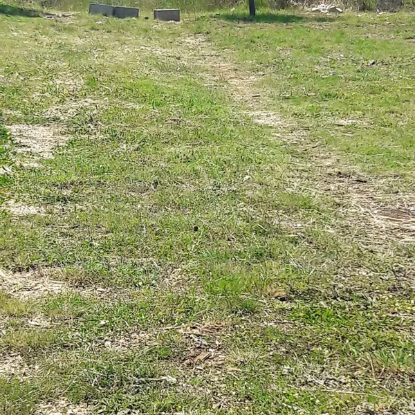Земельный участок в Нин, фото 1