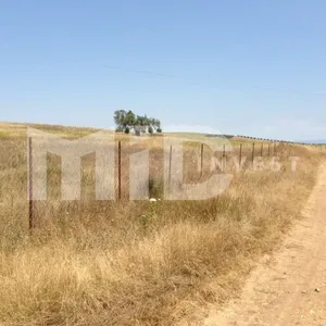 Земельный участок в Каллифея (Кассандра), фото 2