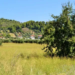Земельный участок в Kassandra Municipality, фото 3