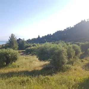 Земельный участок в Kassandra Municipality, фото 3