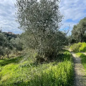 Земельный участок в Corfu, фото 2