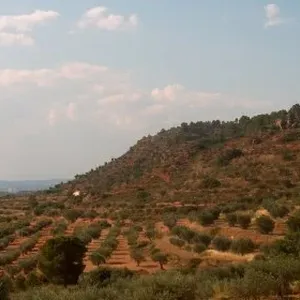 Вилла в Тереса де Кофрентес, фото 5