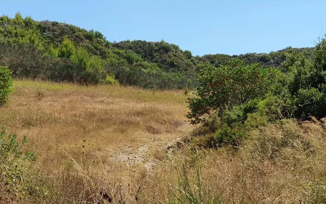 Земельный участок в Kassandra Municipality