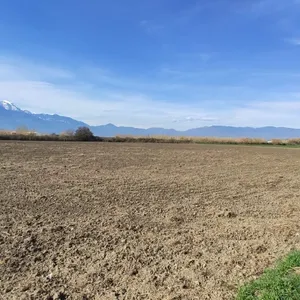 Земельный участок в Катерини, фото 2