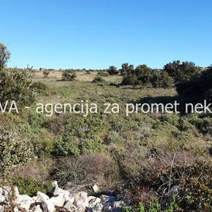 Земельный участок в Вир, фото 4