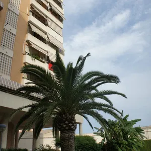 Квартира в Аликанте, фото 2