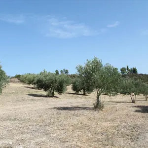 Земельный участок в Kassandra Municipality, фото 4