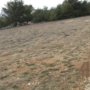 Земельный участок в Вир, фото 3