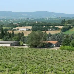 Квартира в Кьюзи, фото 5