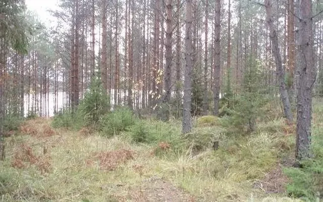 Земельный участок в Пуумала