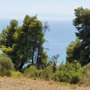 Земельный участок в Kassandra Municipality, фото 2