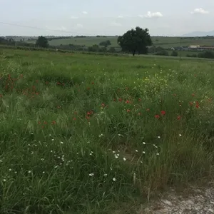 Земельный участок в Επανομή, фото 2