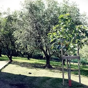 Отдельный дом в Остра, фото 5