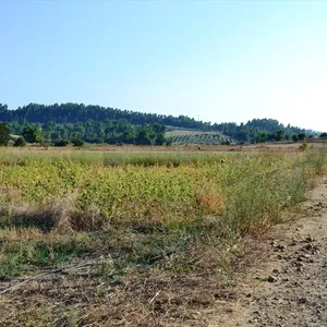 Земельный участок в Kassandra Municipality, фото 5
