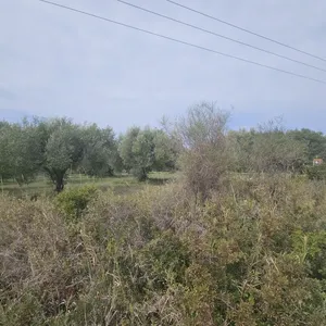 Земельный участок в Kassandra Municipality, фото 2