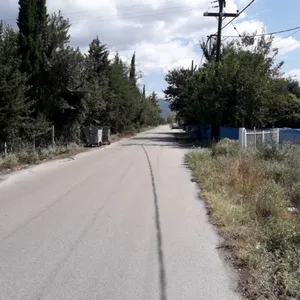 Земельный участок в Терми, фото 5
