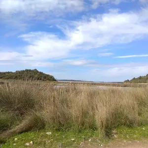 Земельный участок в Ситониа, фото 2