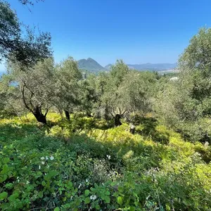 Земельный участок в Corfu, фото 4