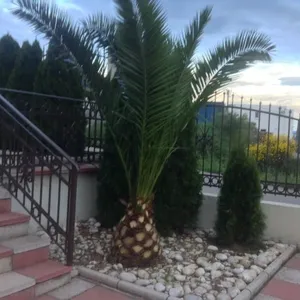 Отель в Сутоморе, фото 5