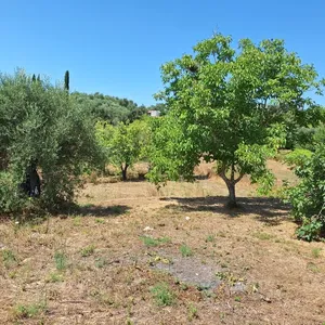 Земельный участок в Corfu, фото 4