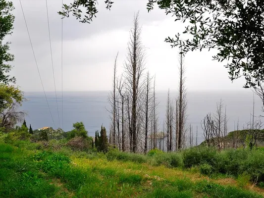 Земельный участок в Corfu