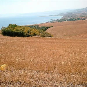 Земельный участок в Aristotle University of Thessaloniki, фото 4