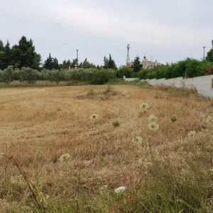 Земельный участок в Kassandra Municipality, фото 5