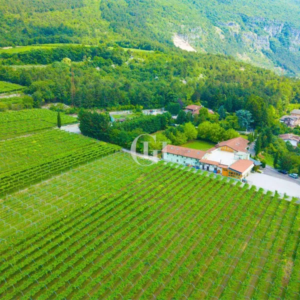 Усадьба в Торре Педрера, фото 1