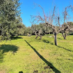 Земельный участок в Corfu, фото 4
