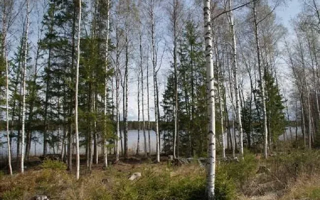Земельный участок в Савонлинна