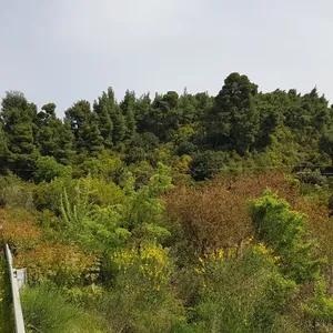 Земельный участок в Kassandra Municipality, фото 2