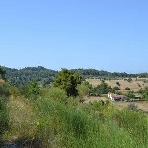 Земельный участок в Kassandra Municipality, фото 3