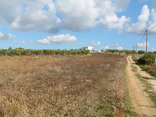 Земельный участок в Kassandra Municipality