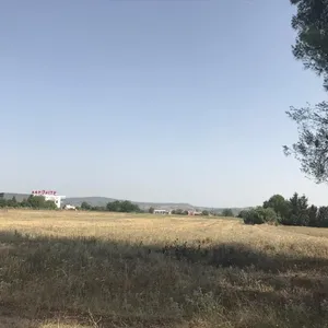 Земельный участок в Терми, фото 5
