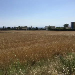 Земельный участок в Терми, фото 5