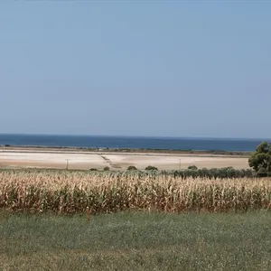 Земельный участок в Kassandra Municipality, фото 4